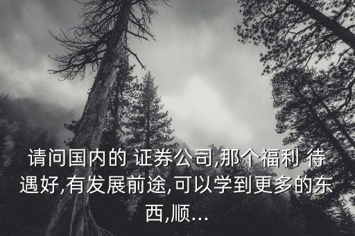 請(qǐng)問國(guó)內(nèi)的 證券公司,那個(gè)福利 待遇好,有發(fā)展前途,可以學(xué)到更多的東西,順...