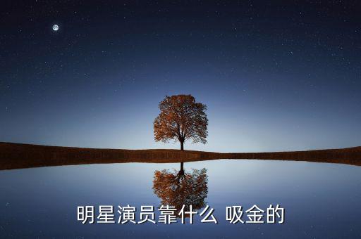 明星演員靠什么 吸金的