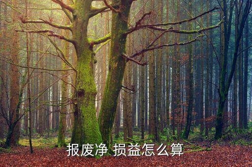 損益怎么算,廢報廢損益計(jì)算公式:固定資產(chǎn)清理后的凈損益