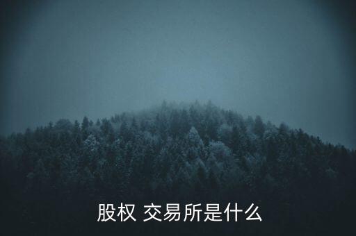 石家莊股權(quán)交易所怎么交易,股權(quán)交易所是怎么一回事?