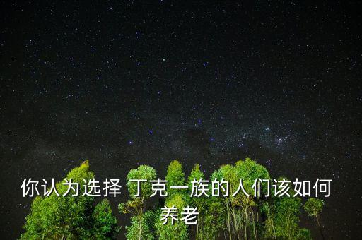 美國丁克怎么養(yǎng)老,選擇丁克家庭不會在孩子的教育上花費