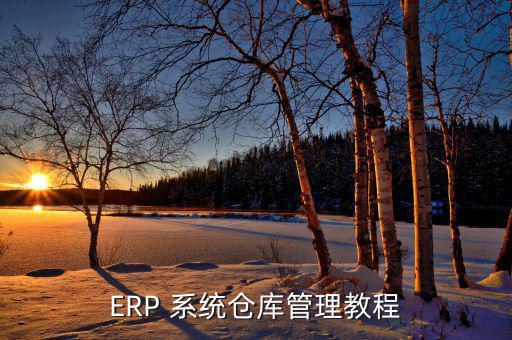 ERP 系統(tǒng)倉庫管理教程