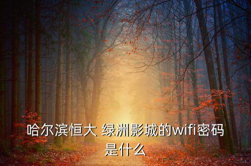 無線綠洲怎么樣,密碼知多少?問與答（18）