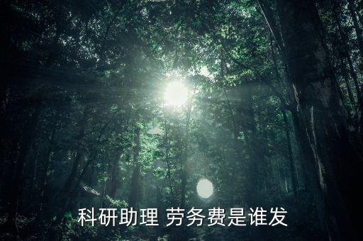  科研助理 勞務(wù)費(fèi)是誰(shuí)發(fā)