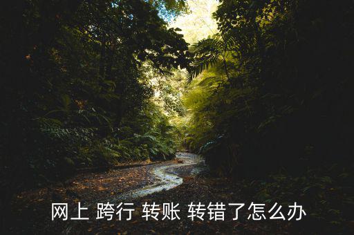  網(wǎng)上 跨行 轉(zhuǎn)賬 轉(zhuǎn)錯了怎么辦