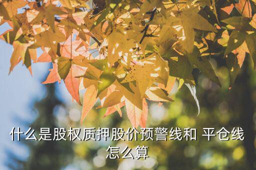 什么是股權(quán)質(zhì)押股價預(yù)警線和 平倉線怎么算