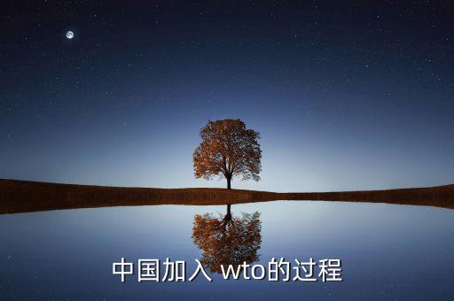 中國是怎么進入wto,中國與27個國家達成加入世貿(mào)組織協(xié)議