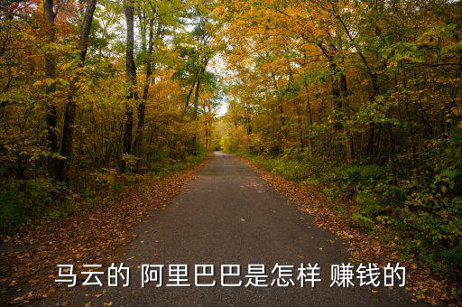 雙11阿里巴巴怎么賺錢(qián),馬云:阿里巴巴雙十一返利都是騙人的