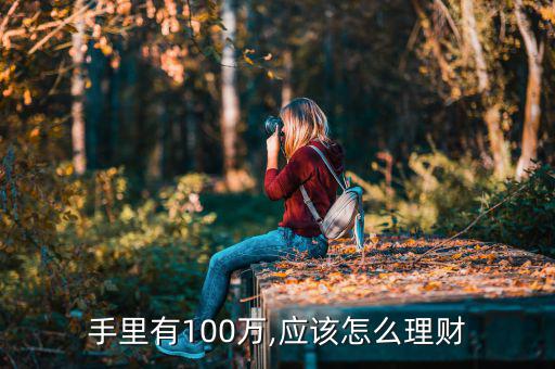 手里有100萬,應(yīng)該怎么理財