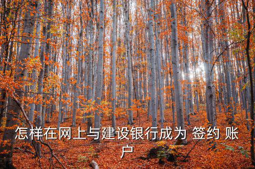 建行賬戶怎么簽約,如何申請(qǐng)開(kāi)通個(gè)人網(wǎng)銀?