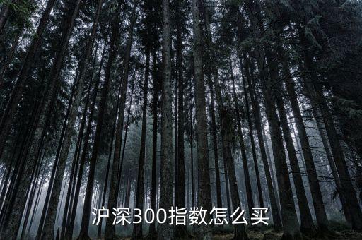 滬深300指數(shù)怎么買