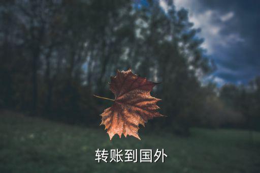  轉(zhuǎn)賬到國外