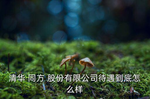 清華 同方 股份有限公司待遇到底怎么樣