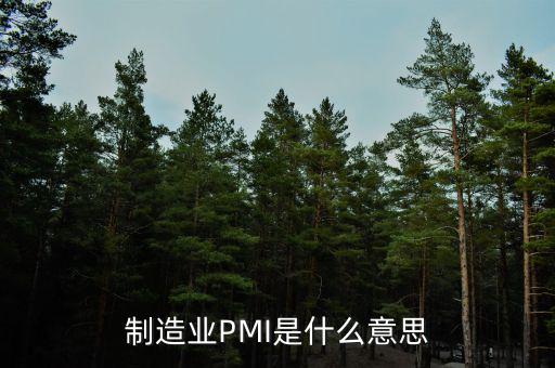 什么是pmi，制造業(yè)PMI是什么意思