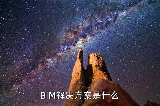 BIM解決方案是什么