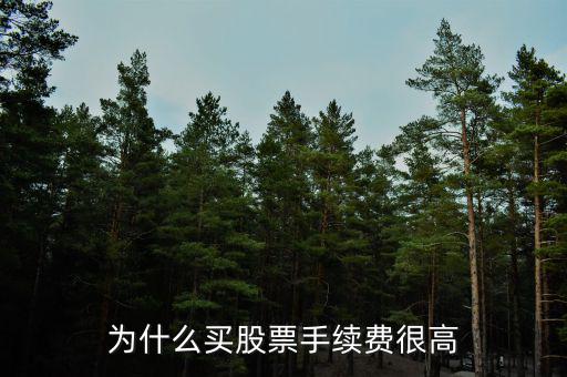 為什么股票有手續(xù)費，原始股為什么老收取手續(xù)費