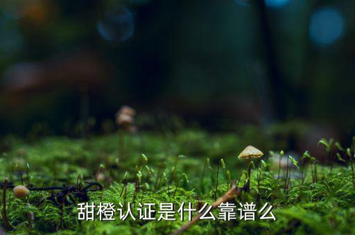 甜橙金融公司是什么，便捷的網(wǎng)貸理財企業(yè)是什么