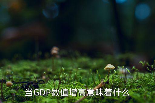 當GDP數(shù)值增高意味著什么