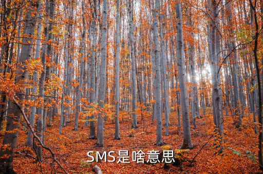 SMS是啥意思