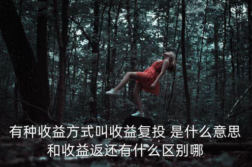 按月復(fù)投是什么意思，本息復(fù)投是什么意思