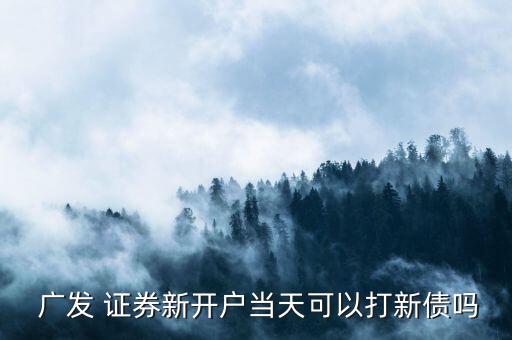  廣發(fā) 證券新開戶當(dāng)天可以打新債嗎