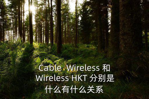 Cable  Wireless 和 Wireless HKT 分別是什么有什么關系