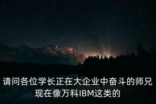 請(qǐng)問(wèn)各位學(xué)長(zhǎng)正在大企業(yè)中奮斗的師兄現(xiàn)在像萬(wàn)科IBM這類(lèi)的