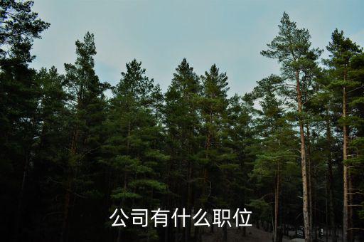 復(fù)星集團(tuán)核心崗位是什么，公司有什么職位