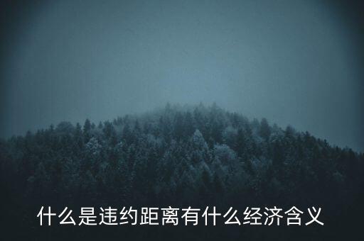 什么是違約距離有什么經濟含義