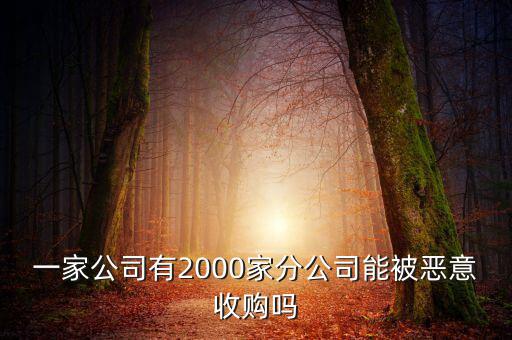 初靈信息為什么要并購，一家公司有2000家分公司能被惡意收購嗎