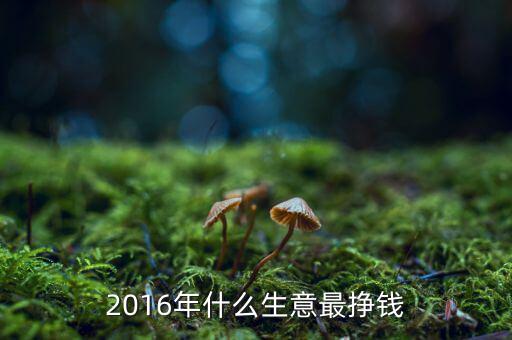 2016怎么賺錢(qián),2020年賺錢(qián)秘訣