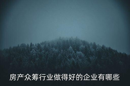 房產(chǎn)眾籌行業(yè)做得好的企業(yè)有哪些