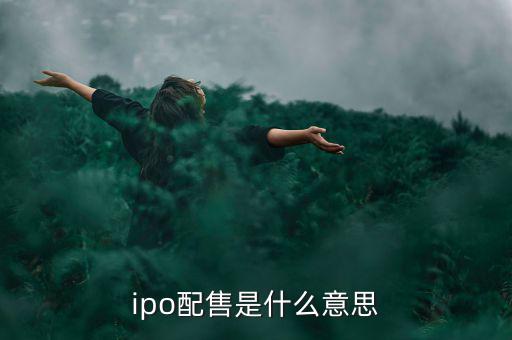 ipo配售是什么意思