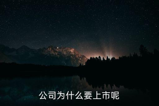 公司為什么上市，公司為什么要上市呢