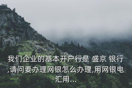 我們企業(yè)的基本開戶行是 盛京 銀行,請問要辦理網(wǎng)銀怎么辦理,用網(wǎng)銀電匯用...