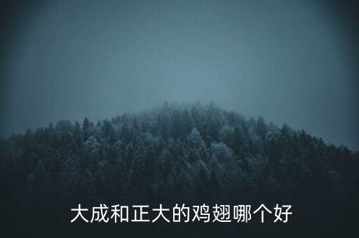  大成和正大的雞翅哪個好