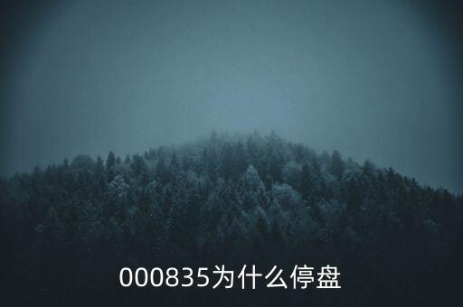 000835為什么停盤