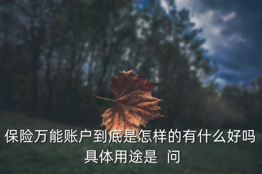 保險萬能賬戶到底是怎樣的有什么好嗎 具體用途是  問