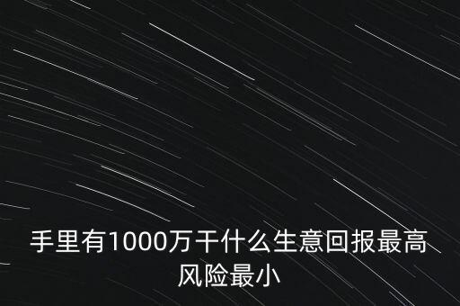 1000萬投資什么生意，手里有1000萬干什么生意回報最高風險最小