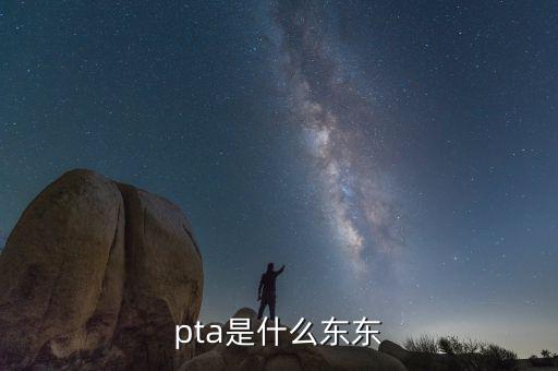 pta行業(yè)是什么，pta是什么東東