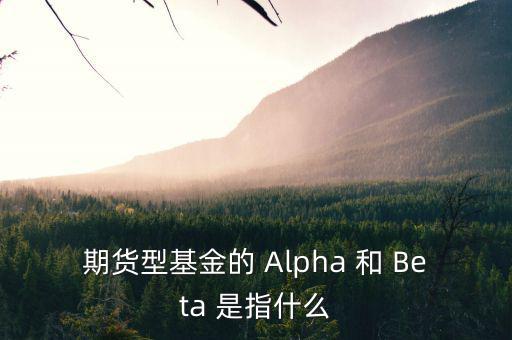 期貨型基金的 Alpha 和 Beta 是指什么