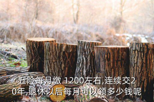 五險每月繳 1200左右,連續(xù)交20年,退休以后每月可以領多少錢呢