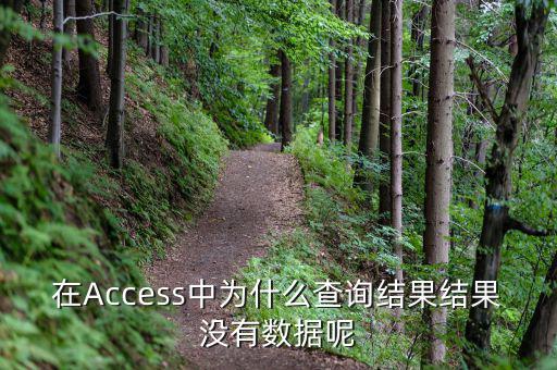 832494為什么沒有數(shù)據(jù)，在Access中為什么查詢結(jié)果結(jié)果沒有數(shù)據(jù)呢