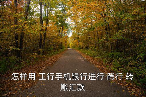 工行異地跨行怎么轉(zhuǎn)賬怎么轉(zhuǎn),第一集:如何在銀行轉(zhuǎn)賬?