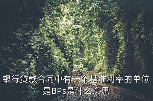 利率bps是什么意思，BPS是什么