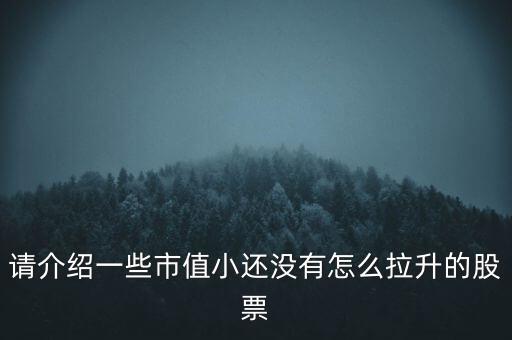 請(qǐng)介紹一些市值小還沒有怎么拉升的股票