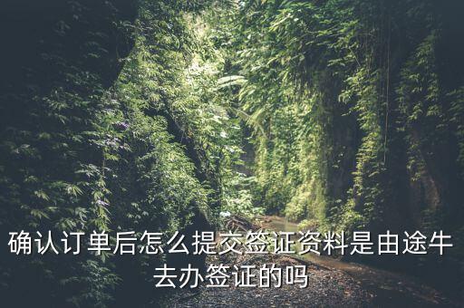 為什么途牛金服資料提交不了，申請途牛額度的資料怎么填寫我填的都是真的也很全啊但是一提