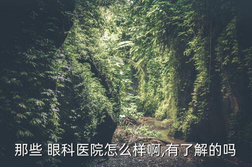 那些 眼科醫(yī)院怎么樣啊,有了解的嗎