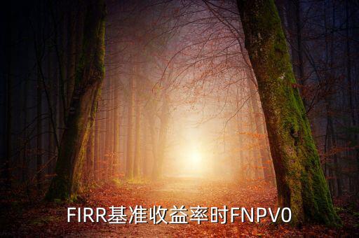 收益率什么時候為正，F(xiàn)IRR基準收益率時FNPV0