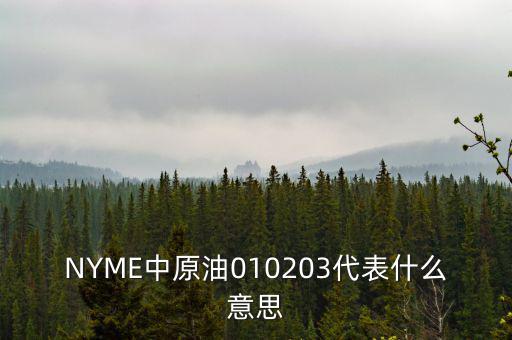 NYME中原油010203代表什么意思